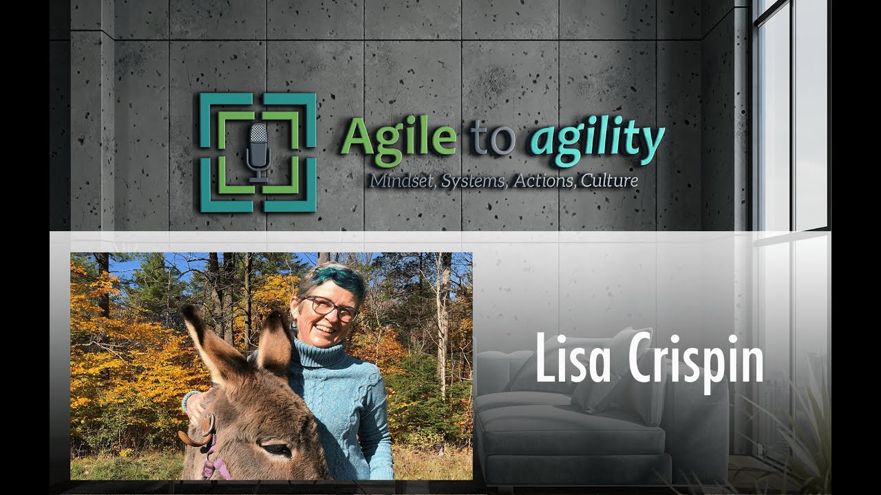 Lisa Crispin: Holistic Testing Approach, Quality, & Bias | Agile to agility | #73